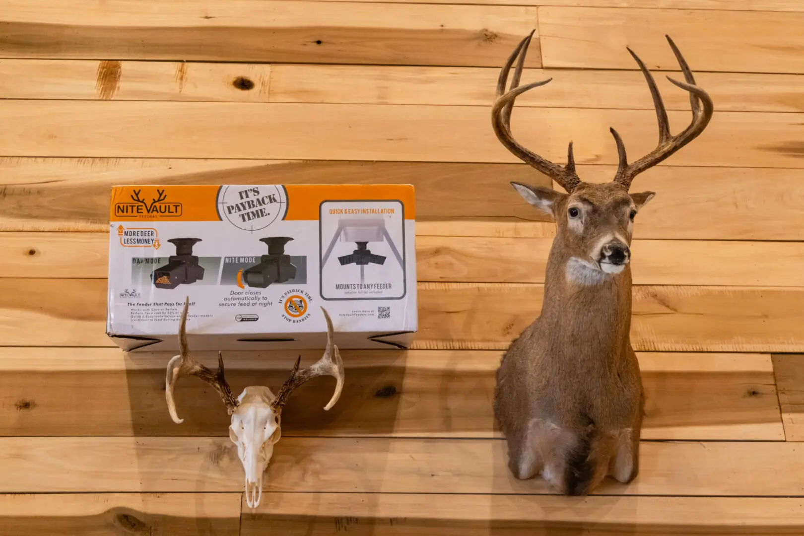 Deer mount, skull, and game feeder.