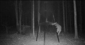 thumbnail image 2 of Nite Vault Gravity Deer Feeder – Daytime-Only Feeding System To Keep Nocturnal Animals Out 2 of 12