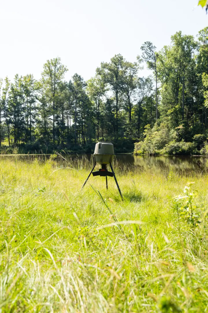 Game feeder by pond in tall grass.