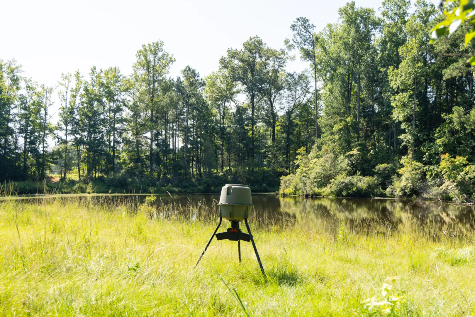 Game feeder by a pond.