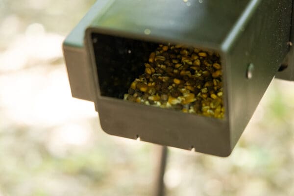 Bird feeder full of seeds.