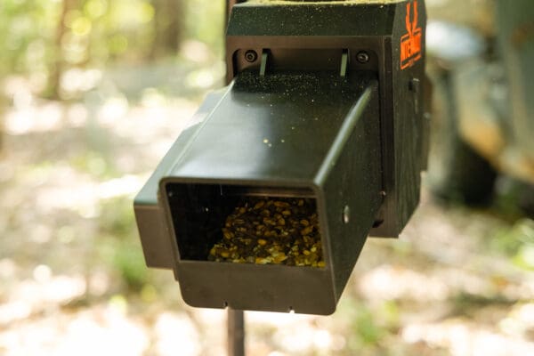 Automatic feeder with birdseed.