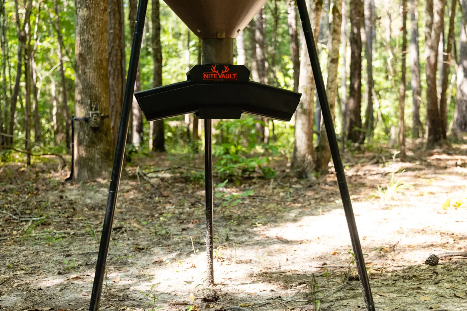 Nite Vault deer feeder in woods.