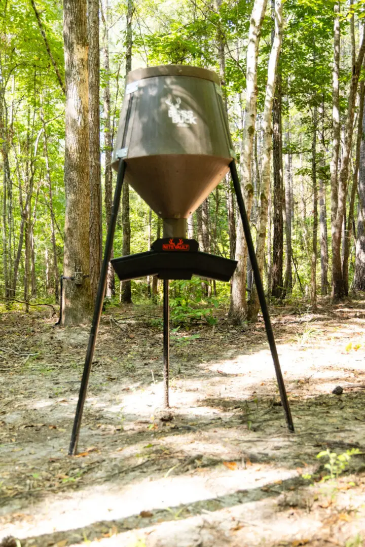 Here's an alt tag for the image: Deer feeder in a forest.